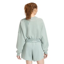 Свитшот ALL SZN Soft Lux Loose