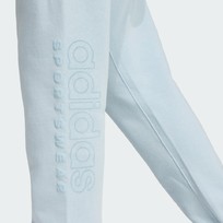 Брюки мужские Adidas ALL SZN FLEECE GRAPHIC