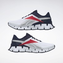 Кроссовки мужские Reebok Zig Dynamica 2