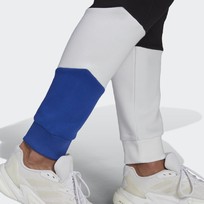 Брюки мужские Adidas SPORTSWEAR COLORBLOCK