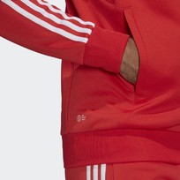 Олимпийка мужская Adidas ADICOLOR CLASSICS PRIMEBLUE SST