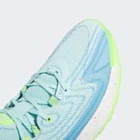 Кроссовки мужские Adidas D Rose of Chi 2