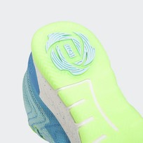 Кроссовки мужские Adidas D Rose of Chi 2