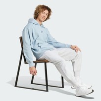 Худи мужское Adidas ALL SZN FLEECE GRAPHIC