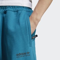 Брюки мужские Adidas Adventure