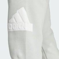 Брюки мужские Adidas Future Icons