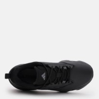 Кроссовки мужские Adidas Terrex Unity Lea Low