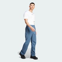 Брюки мужские Adidas Terrex MULTI WOVEN