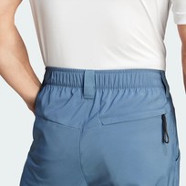Брюки мужские Adidas Terrex MULTI WOVEN