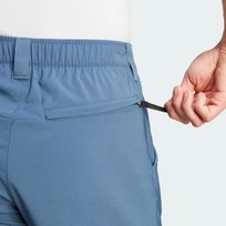 Брюки мужские Adidas Terrex MULTI WOVEN