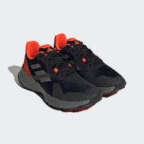 Кроссовки мужские Adidas Terrex Soulstride Trail