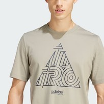 Футболка мужская Adidas House of Tiro
