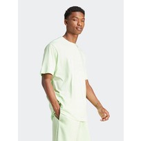 Футболка мужская Adidas Sportwear