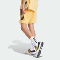 Шорты мужские Adidas Future Icons