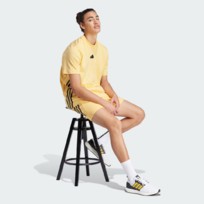 Шорты мужские Adidas Future Icons