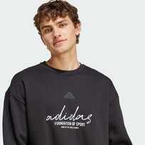 Худи мужское Adidas Brand Love Fleece