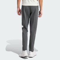 Брюки мужские Adidas FUTURE ICONS