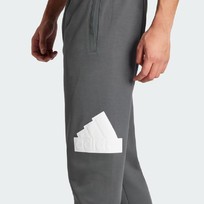 Брюки мужские Adidas FUTURE ICONS