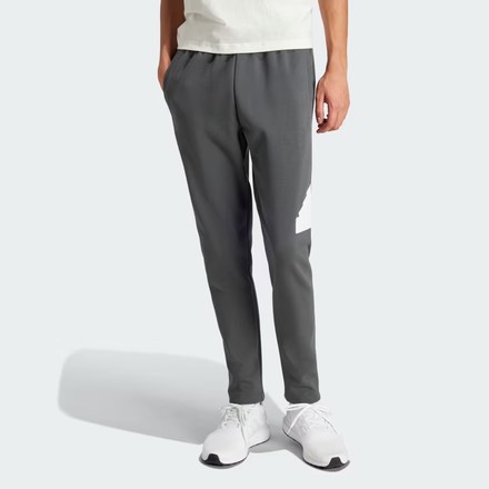 Брюки мужские Adidas FUTURE ICONS