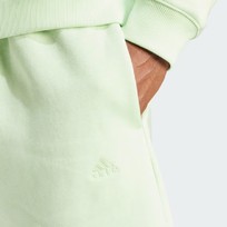 Шорты мужские Adidas ALL SZN