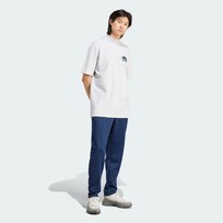 Брюки мужские Adidas Archive