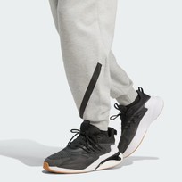 Брюки мужские Adidas Z.N.E.