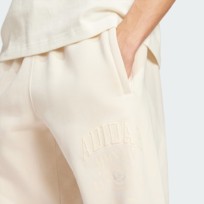 Брюки мужские Adidas VRCT1