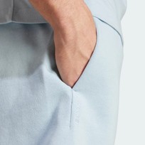 Шорты мужские Adidas ALL SZN Fleece