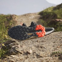 Кроссовки мужские Adidas Terrex Trailmaker 2.0 Gortex