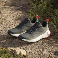 Кроссовки мужские Adidas Terrex Trailmaker 2.0 Gortex