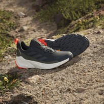Кроссовки мужские Adidas Terrex Trailmaker 2.0 Gortex