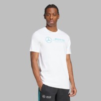 Футболка мужская Adidas AMG Petronas Formula One Team DNA