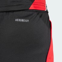 Шорты мужские Adidas Tiro 24