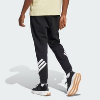 Брюки мужские Adidas Future Icons