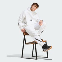 Брюки мужские Adidas Z.N.E