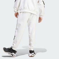 Брюки мужские Adidas Z.N.E