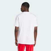 Футболка мужская Adidas Adicolor Loose 2000s Cali
