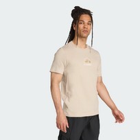 Футболка мужская Adidas Terrex Outdoor Athlete Graphic