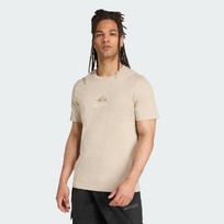 Футболка мужская Adidas Terrex Outdoor Athlete Graphic