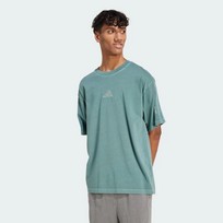 Футболка мужская Adidas ALL SZN