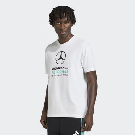 Футболка Mercedes - Amg Petronas Formula 1 Team Dna Graphic