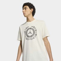 Футболка Mercedes - AMG Petronas Formula 1 Silver Arrows