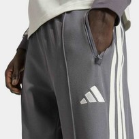 Мужские спортивные брюки Mercedes - AMG Petronas Formula 1 Silver Arrows Icon