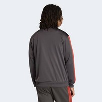 Олимпийка AUDI FORMULA ONE TEAM DNA