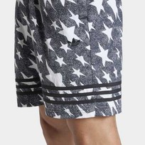 Denim Graphic 3-Stripes Swim Shorts (8 дюймов)