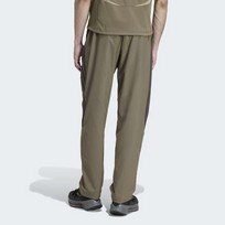 Спортивные брюки Teamgeist Adicolor