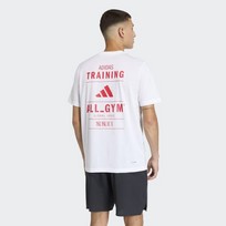 Graphic Category Training CLIMACOOL
