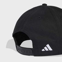 Stadium Trucker Hat