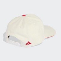 Stadium Trucker Cap