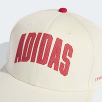 Stadium Trucker Cap